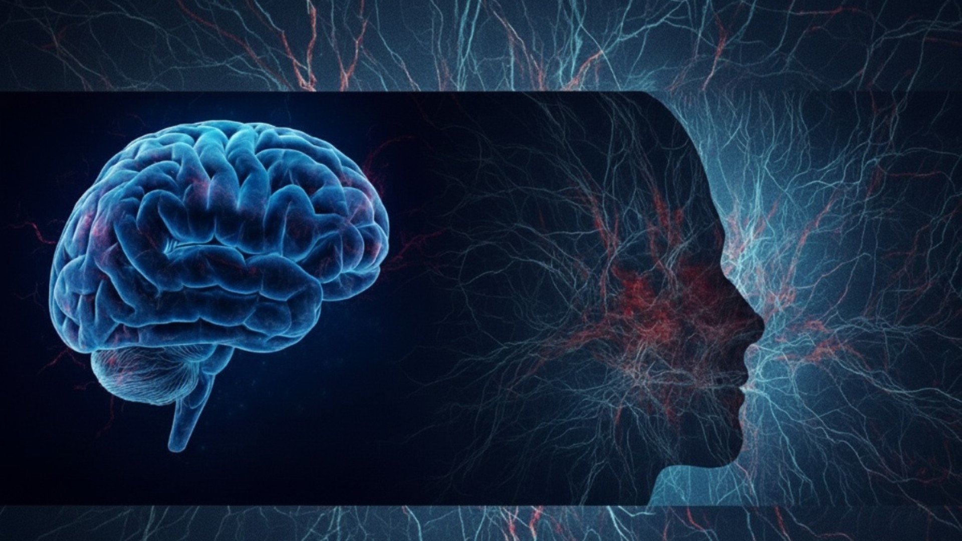 Psicopatia e Neurociência: o que realmente acontece no cérebro de um psicopata?