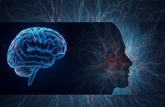 Psicopatia e Neurociência: o que realmente acontece no cérebro de um psicopata?