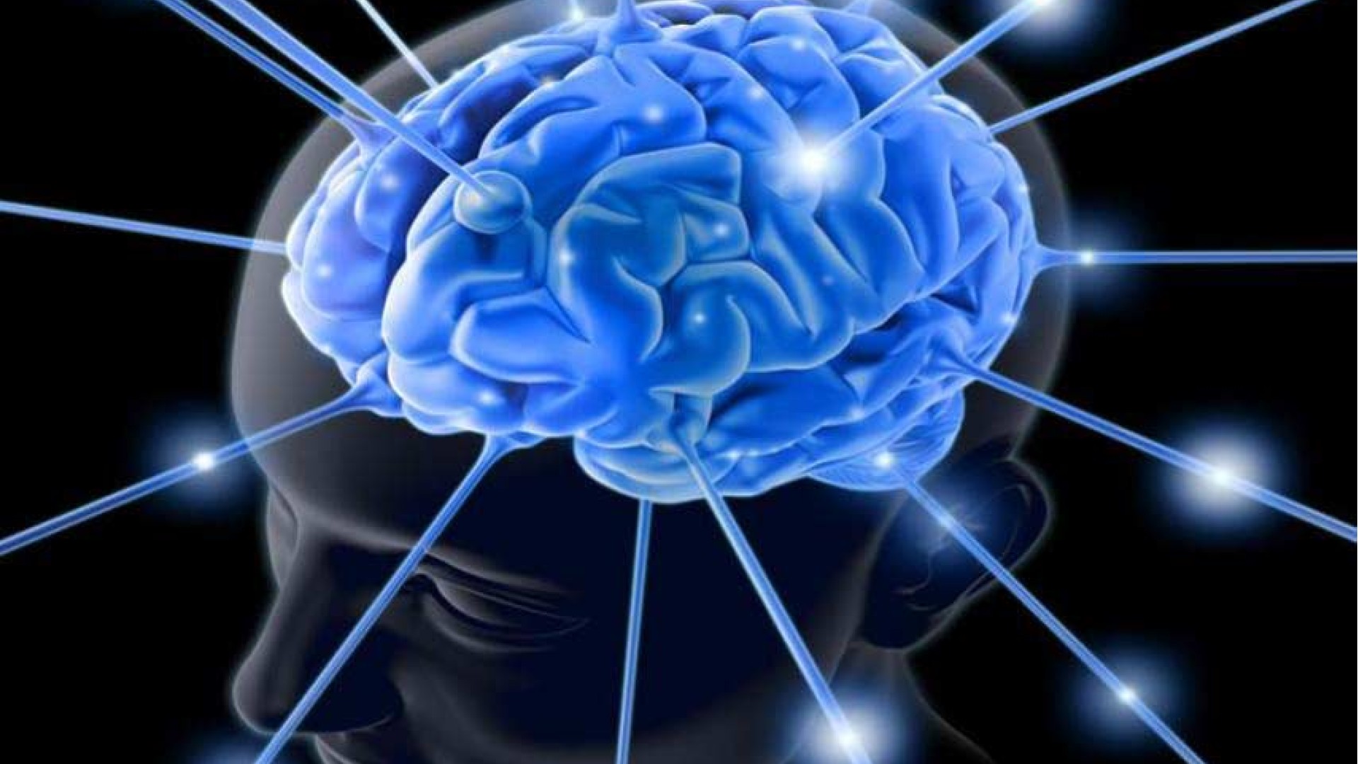 CÓRTEX PRÉ-FRONTAL, NEUROCIÊNCIAS E PSICANÁLISE: POR QUE ESSA REGIÃO É TÃO IMPORTANTE PARA COMPREENDER O COMPORTAMENTO E QUALIFICAR O ATENDIMENTO CLÍNICO?